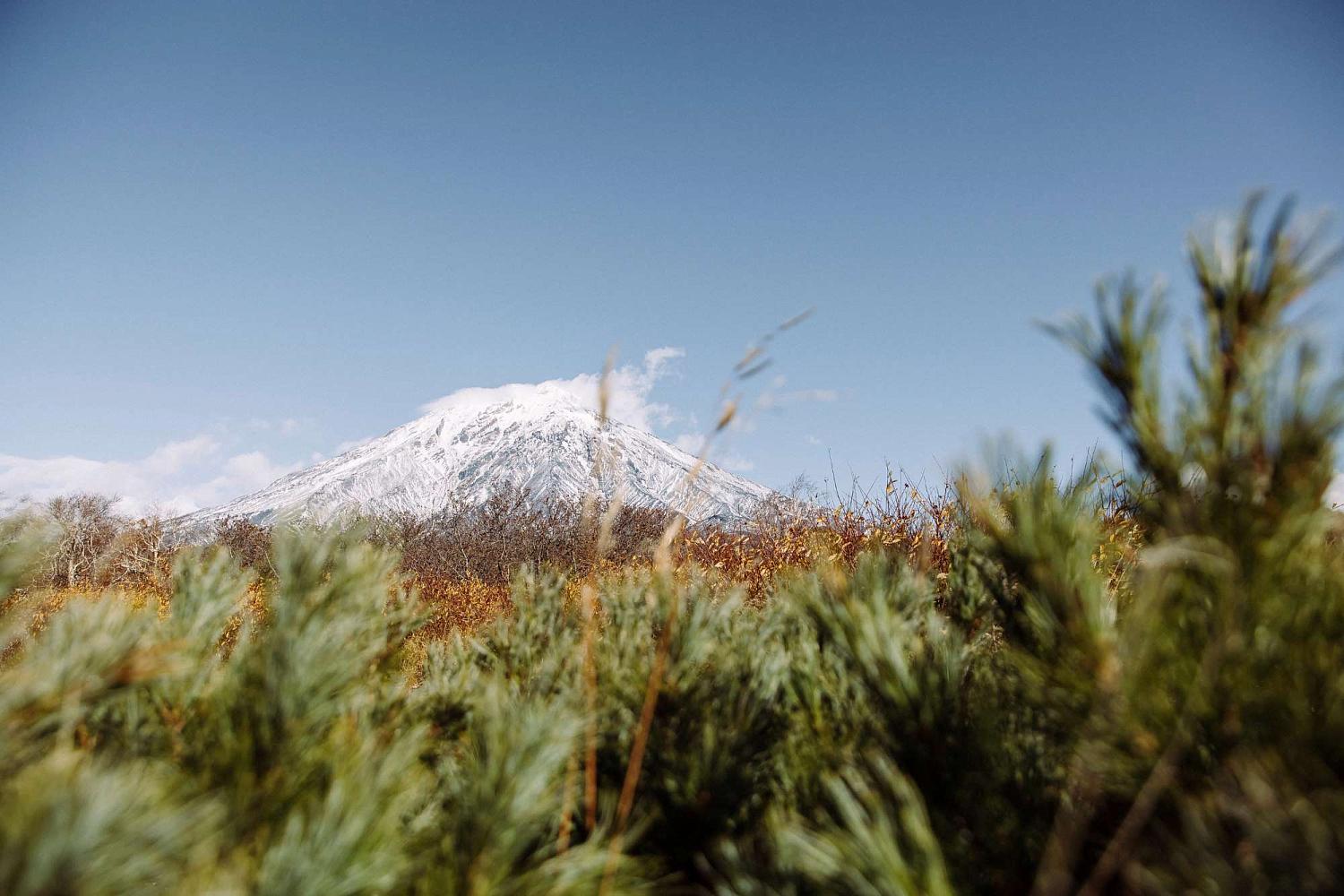 Автор фото: Том Кулибякин.