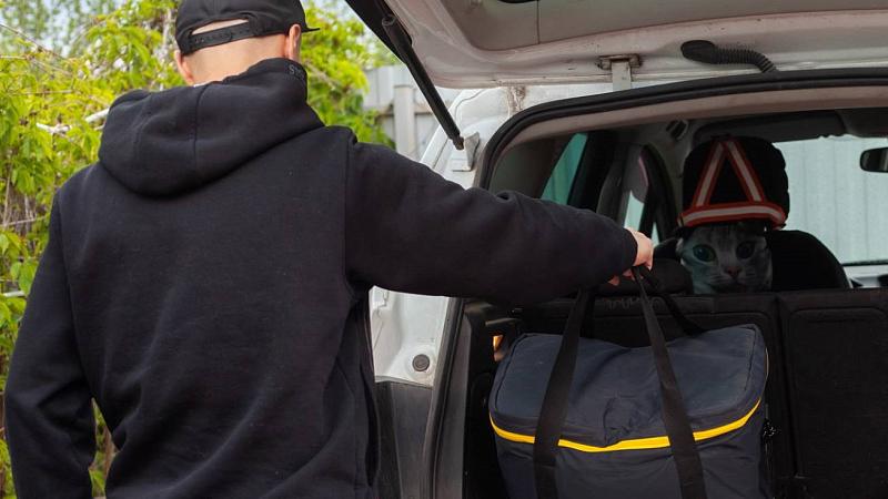 В дорогу: о термосумке серии 010