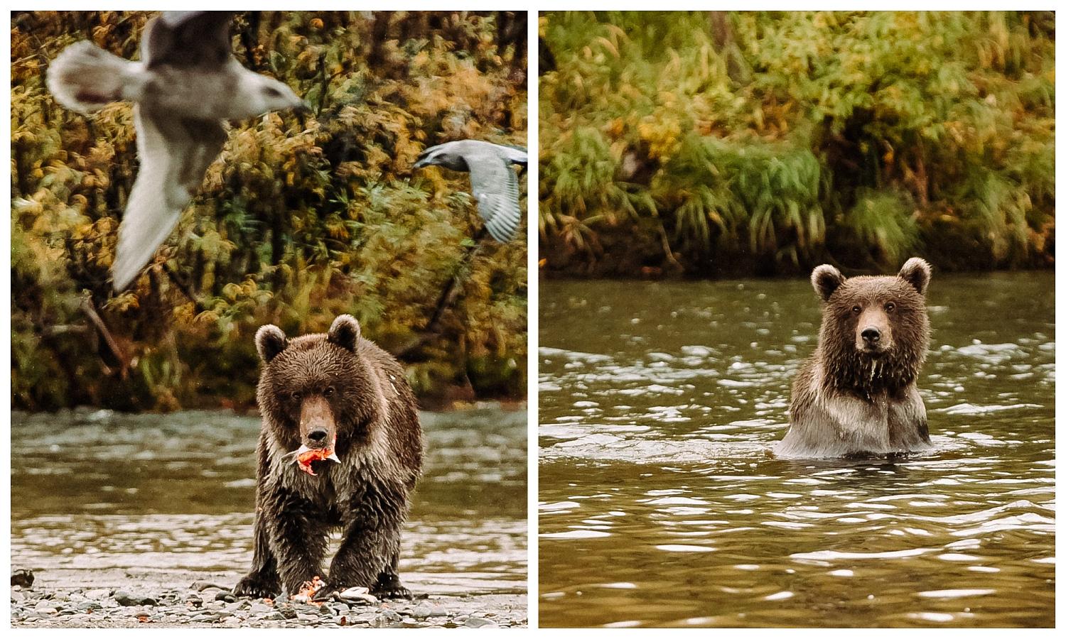Автор фото: Том Кулибякин.